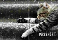 Обложка для паспорта Котик